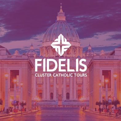 Portada de portafolio Fidelis Tours
