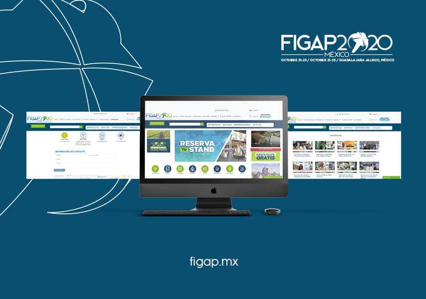 Página web de FIGAP